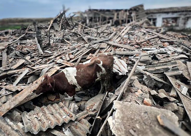 A worker died and four people were injured after a Russian drone attack on a farm in Sumy region