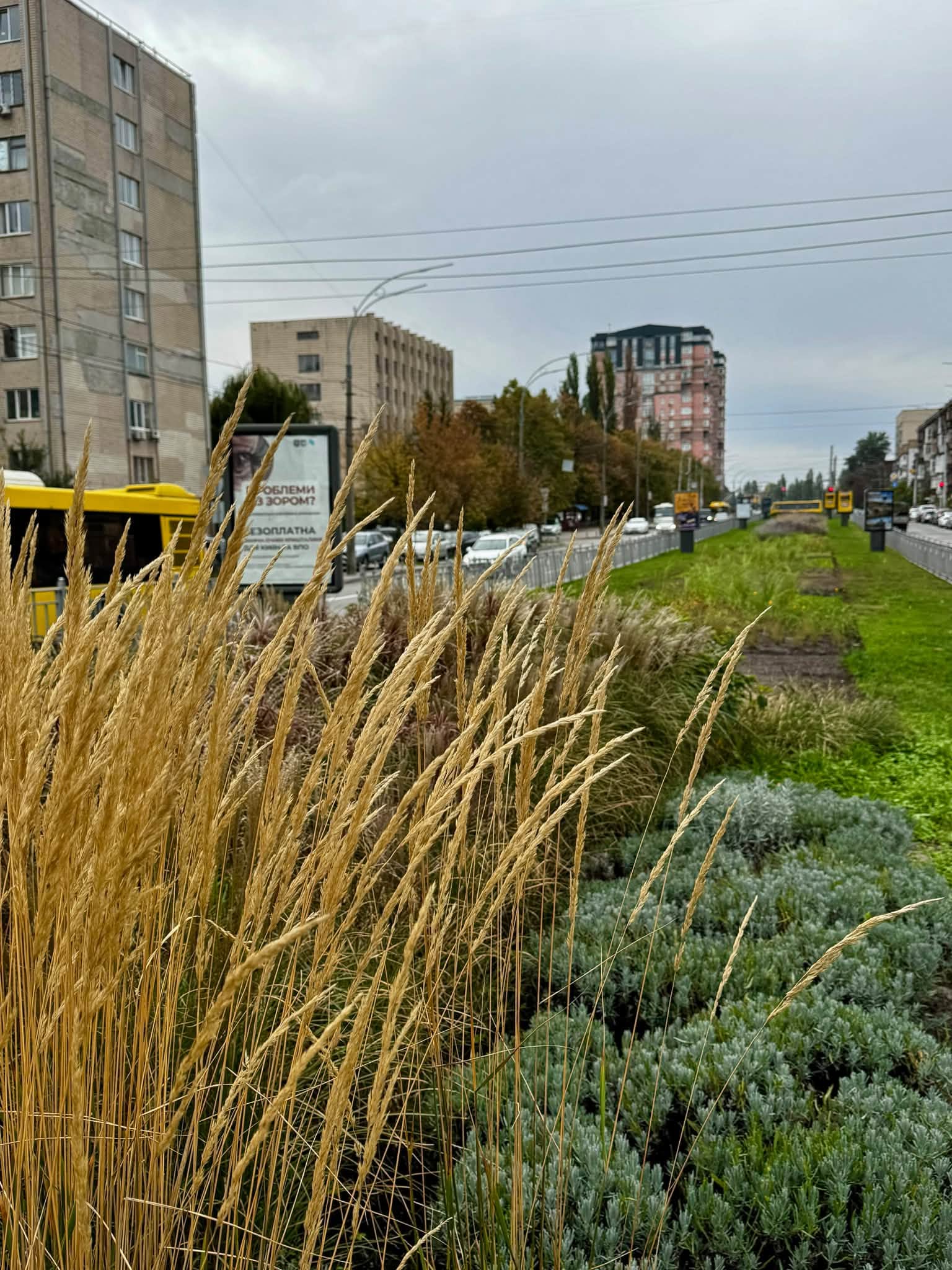 На Солом’янці облаштували квітник у стилі «нової хвилі»